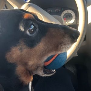 Meet your Posher, Jaimiee